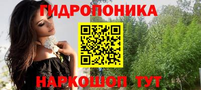 прущие крисы Апшеронск
