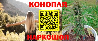 шишки Будённовск